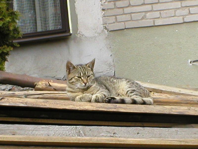 Foto: Micka